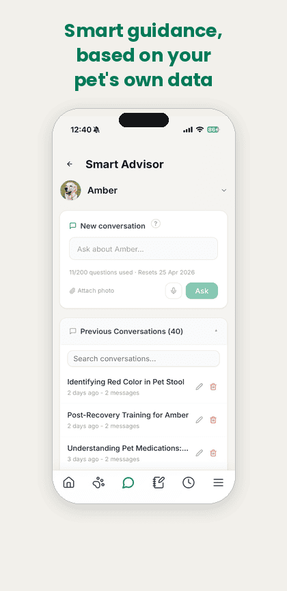 Advisor chat