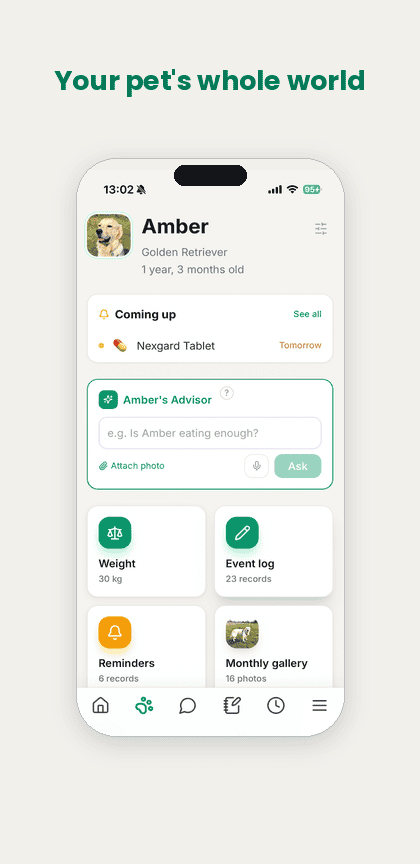 Pet dashboard
