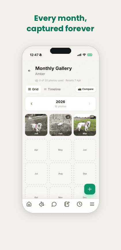 Monthly gallery