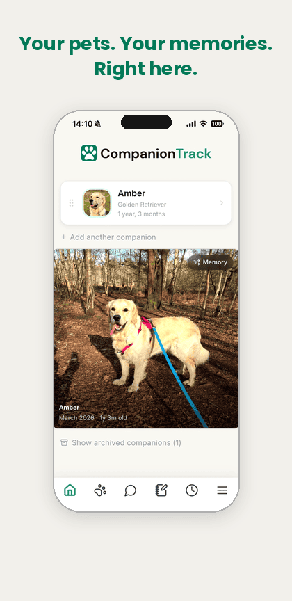 CompanionTrack home screen